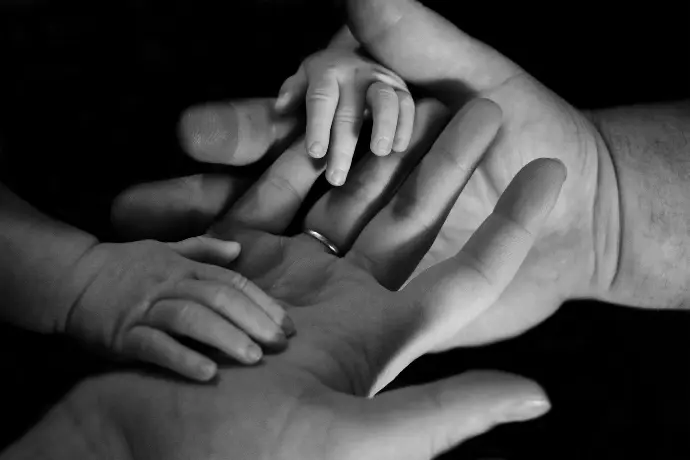 Family's hands